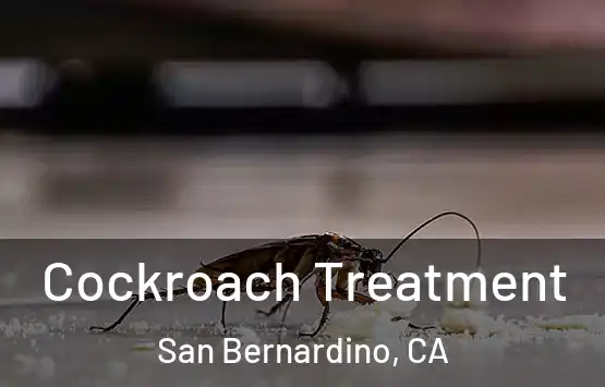  Cockroach Treatment San Bernardino, CA