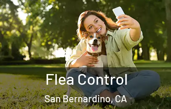  Flea Control San Bernardino, CA