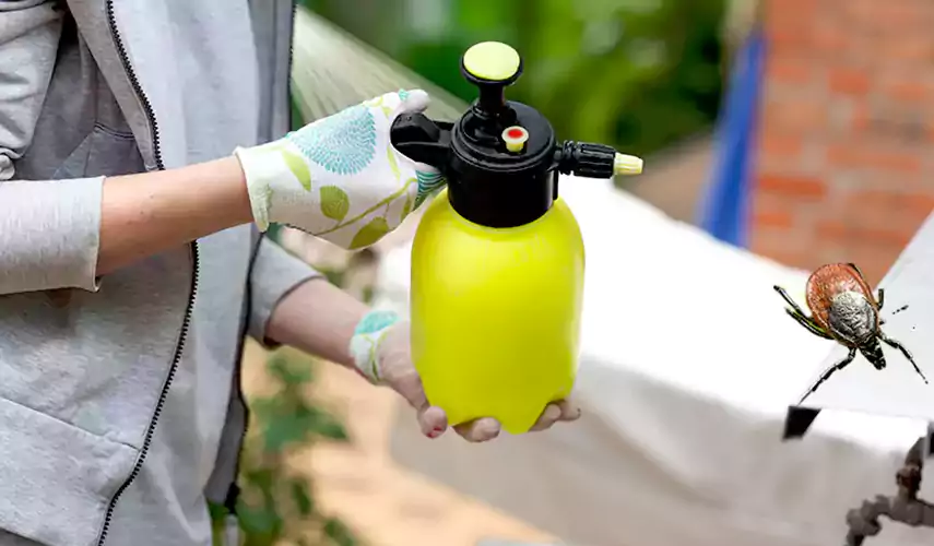 Ticks Pest Control San Bernardino, California