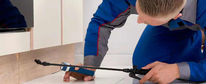 Commercial Pest Control for Offices in San Bernardino, CA