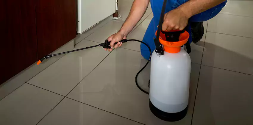 Commercial Pest Extermination for Offices in San Bernardino, CA