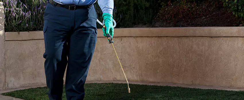 Emergency Pest Extermination for Children and Pets San Bernardino, CA