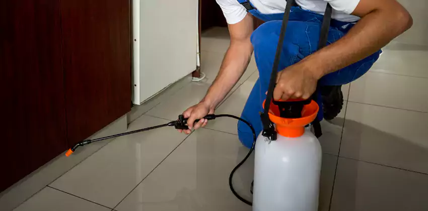 Commercial Flea Exterminator Company in San Bernardino, CA