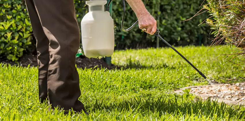 Grub Treatment for Bedrooms San Bernardino, CA