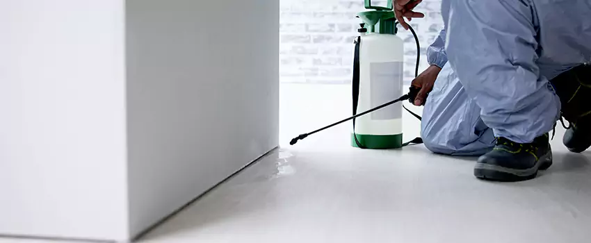 commercial-pest-control in San Bernardino, CA