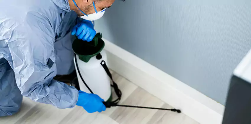 commercial-pest-exterminator in San Bernardino, CA