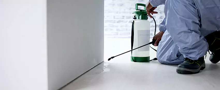 residential-pest in San Bernardino, CA