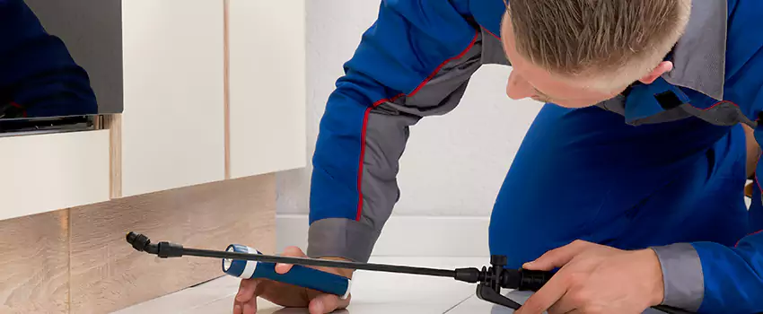 Pest Exterminator Company in San Bernardino, CA