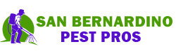 San Bernardino Pest Pros