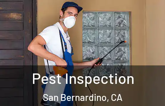  Pest Inspection San Bernardino, CA