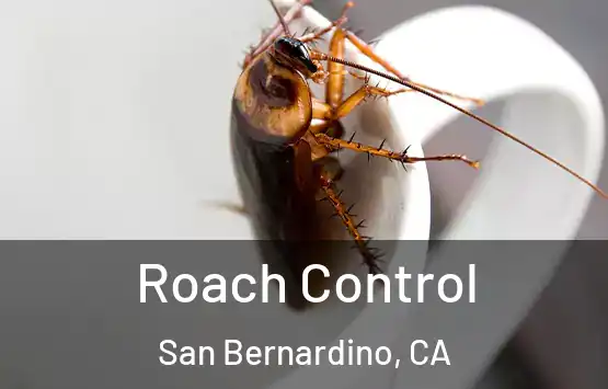  Roach Control San Bernardino, CA