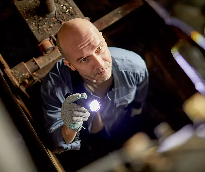 About Pest Inspection San Bernardino