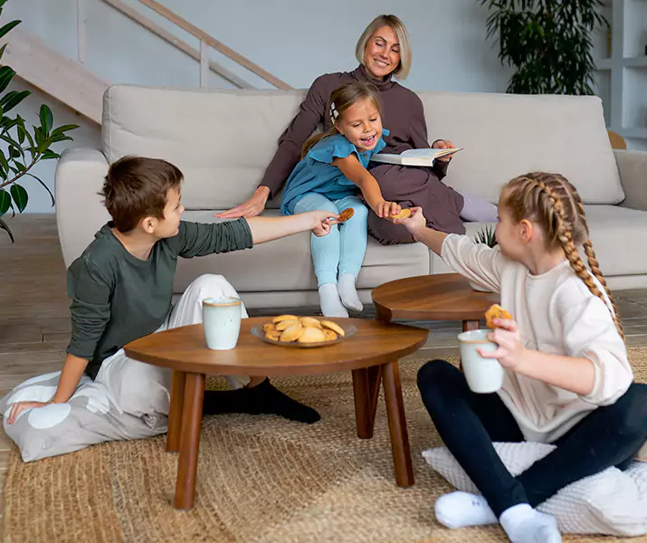 About Spider Exterminator San Bernardino