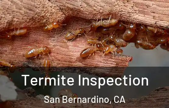  Termite Inspection San Bernardino, CA