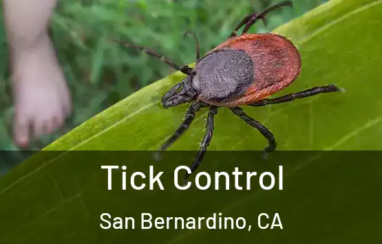  Tick Control San Bernardino, CA