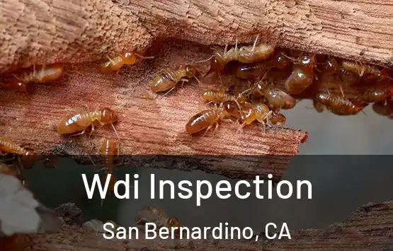  Wdi Inspection San Bernardino, CA